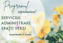 Program. Iată în ce cartiere lucrează Gospodărire Urbană pentru întreținerea spațiilor verzi