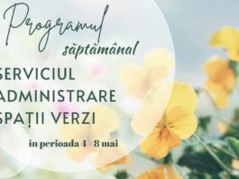 Program. Iată în ce cartiere lucrează Gospodărire Urbană pentru întreținerea spațiilor verzi
