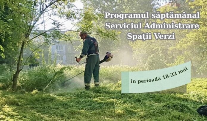 spatii verzi
