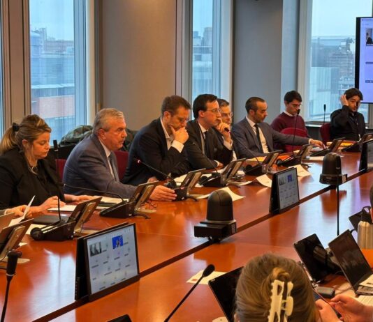 Dan Nica: ”Inteligența artificială trebuie să fie în sprijinul oamenilor, nu să le amenințe locurile de muncă”
