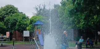 Echipele Gospodărire Urbană au curățat, astăzi, mai multe fântâni arteziene și lacul din Parcul Carol