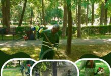 Gospodărire Urbană continuă activitățile de întreținere a spațiilor verzi chiar și în zilele caniculare