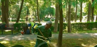 Gospodărire Urbană continuă activitățile de întreținere a spațiilor verzi chiar și în zilele caniculare