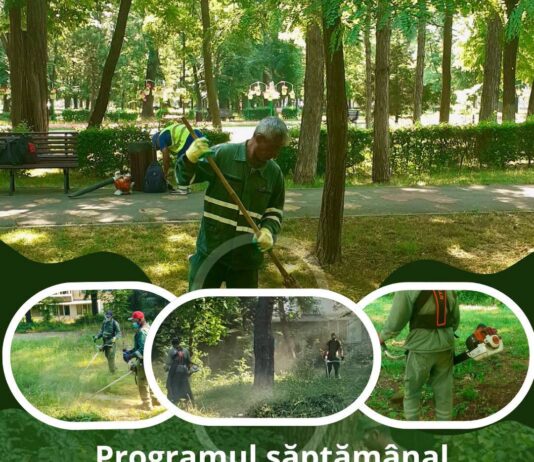 Gospodărire Urbană continuă activitățile de întreținere a spațiilor verzi chiar și în zilele caniculare