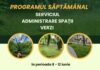 Iată în ce cartiere se va acționa, săptămâna aceasta, pentru întreținerea spațiilor verzi