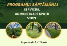Iată în ce cartiere se va acționa, săptămâna aceasta, pentru întreținerea spațiilor verzi