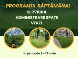 Iată în ce cartiere se va acționa, săptămâna aceasta, pentru întreținerea spațiilor verzi