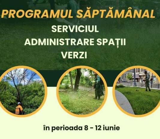 Iată în ce cartiere se va acționa, săptămâna aceasta, pentru întreținerea spațiilor verzi
