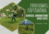 Program. Iată în ce cartiere vor lucra, săptămâna aceasta, angajații de la Spații Verzi