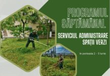 Program. Iată în ce cartiere vor lucra, săptămâna aceasta, angajații de la Spații Verzi