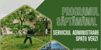 Program. Iată în ce cartiere vor lucra, săptămâna aceasta, angajații de la Spații Verzi