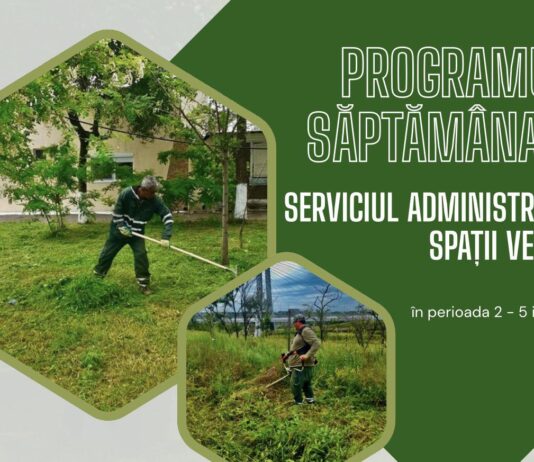 Program. Iată în ce cartiere vor lucra, săptămâna aceasta, angajații de la Spații Verzi