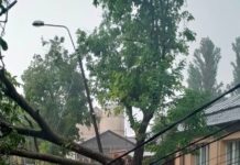 Furtună. Echipele Gospodărire Urbană, în teren pe întreg parcursul nopții