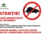 Ecosal desfășoară acțiuni de deratizare în zonele de promenadă și în locurile de joacă, la comanda Primăriei