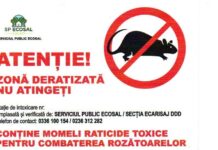 Ecosal desfășoară acțiuni de deratizare în zonele de promenadă și în locurile de joacă, la comanda Primăriei