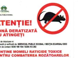 Ecosal desfășoară acțiuni de deratizare în zonele de promenadă și în locurile de joacă, la comanda Primăriei