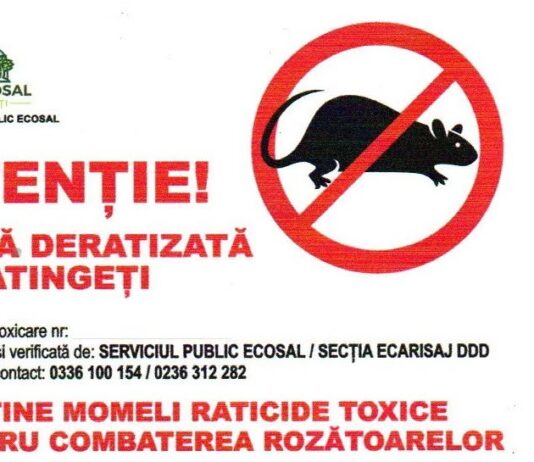 Ecosal desfășoară acțiuni de deratizare în zonele de promenadă și în locurile de joacă, la comanda Primăriei