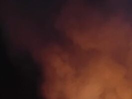 Incendiu la Braniștea. O femeie a făcut atac de panică