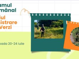 Program. Iată în ce cartiere vor lucra, săptămâna aceasta, angajații de la Spații Verzi