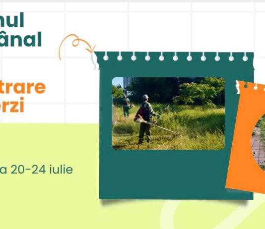 Program. Iată în ce cartiere vor lucra, săptămâna aceasta, angajații de la Spații Verzi