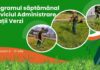 Program. Iată în ce zone vor lucra angajații de la Spații Verzi în această săptămână