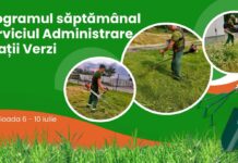 Program. Iată în ce zone vor lucra angajații de la Spații Verzi în această săptămână