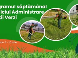 Program. Iată în ce zone vor lucra angajații de la Spații Verzi în această săptămână