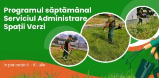 Program. Iată în ce zone vor lucra angajații de la Spații Verzi în această săptămână