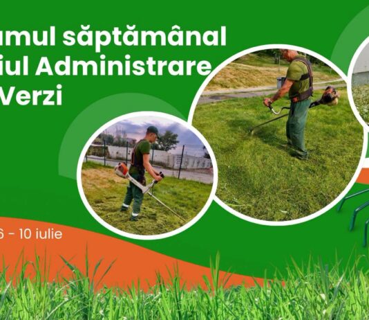 Program. Iată în ce zone vor lucra angajații de la Spații Verzi în această săptămână