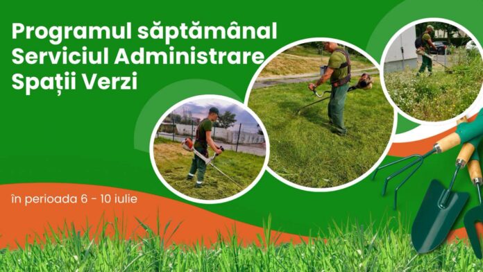 spatii verzi