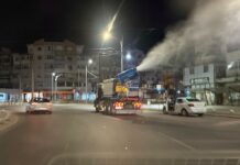 O nouă dezinsecție. Se va acționa din elicopter, dar și terestru