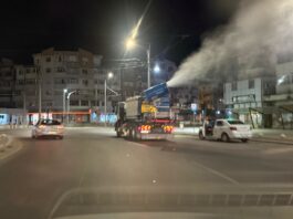 O nouă dezinsecție. Se va acționa din elicopter, dar și terestru