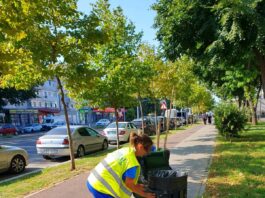 Ecosal, zilnic în teren pentru întreținere și curățenie în oraș