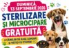 UTIL. Sterilizare și microcipare gratuite, cu sprijinul Primăriei și al Ecosal
