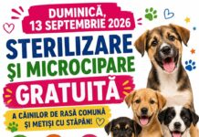 UTIL. Sterilizare și microcipare gratuite, cu sprijinul Primăriei și al Ecosal