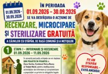 Ecosal: „Microcipează și sterilizează! Contribui astfel la reducerea numărului câinilor fără stăpân”