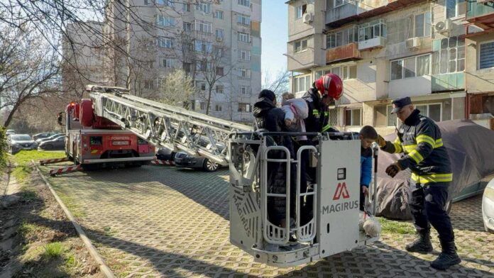 Pompieri autoscară