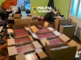 Depozit clandestin de țigări de contrabandă în județul Galați. Poliția a confiscat sute de mii de țigarete