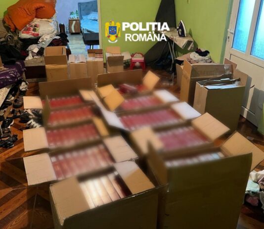 Depozit clandestin de țigări de contrabandă în județul Galați. Poliția a confiscat sute de mii de țigarete