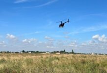 O nouă etapă de dezinsecție comandată de Primărie. Se va acționa aerian și la sol