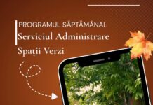 Lucrări de întreținere a spațiilor verzi. Iată în ce zone acționează, săptămâna aceasta, echipele Gospodărire Urbană