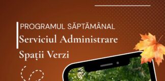 Lucrări de întreținere a spațiilor verzi. Iată în ce zone acționează, săptămâna aceasta, echipele Gospodărire Urbană