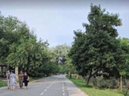Precizări ale Primăriei Galați privind proiectul de modernizare a Falezei