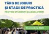 Târg de joburi și stagii de practică la Universitatea Dunărea de Jos Galați