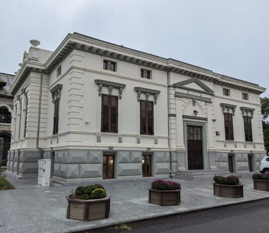 Festivalul Roman, la Casa Artelor. Iată cu ce activități inedite vă așteaptă organizatorii