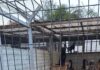 Mesajul Ecosal pentru iubitorii de animale: „Nu cumpăra, adoptă un suflet!”