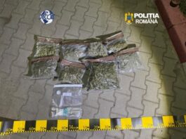 Două persoane reținute pentru trafic internațional și intern de droguri de risc și mare risc