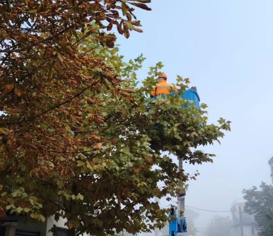 Gospodărire Urbană continuă activitățile de întreținere a spațiilor verzi din oraș