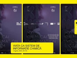 Proiecție de film la Muzeul de Artă Vizuală