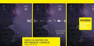 Proiecție de film la Muzeul de Artă Vizuală